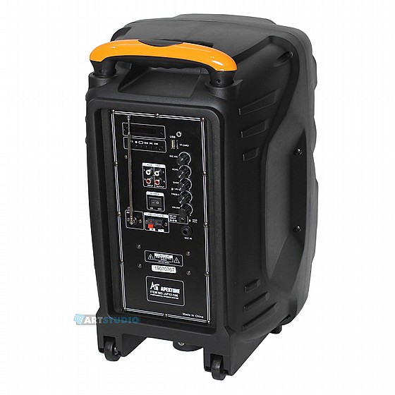 ������� 12" / 450W ���  AP12-100