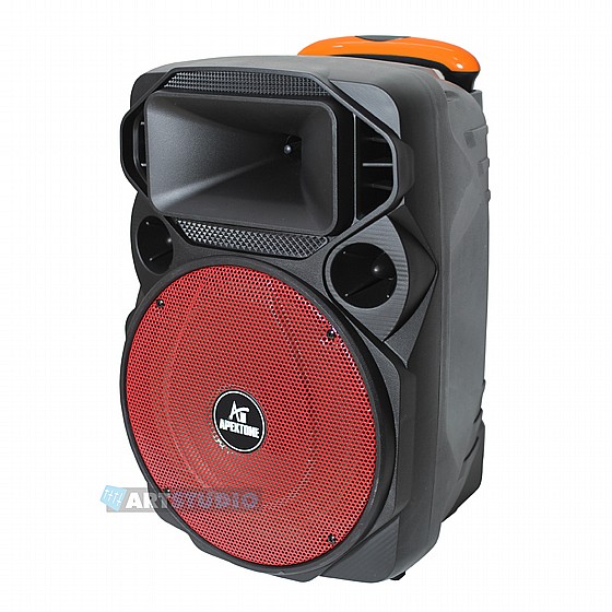 ������� 12" / 450W ���  AP12-100