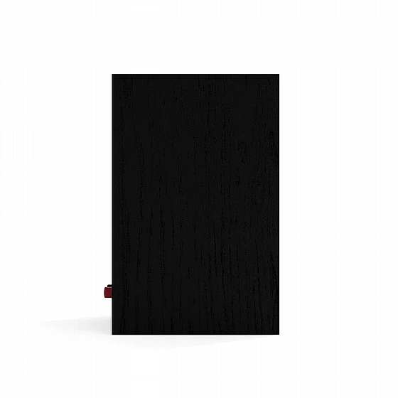 ��� ������� ������ KLIPSCH R-40M
