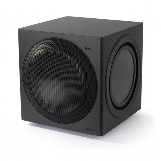 ��� ���� ������  MONITOR AUDIO CW10