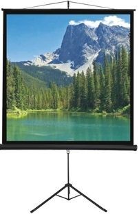 ��� ����� ����� 213X213 �"�   T213