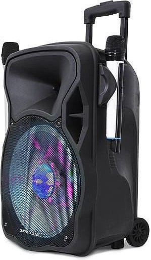 ������� ������ ����� 18 ����� Pure Acoustics LX800