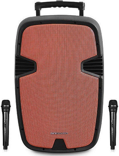 בידורית קריוקי ניידת 15 אינטש Pure Acoustics PMW2015
