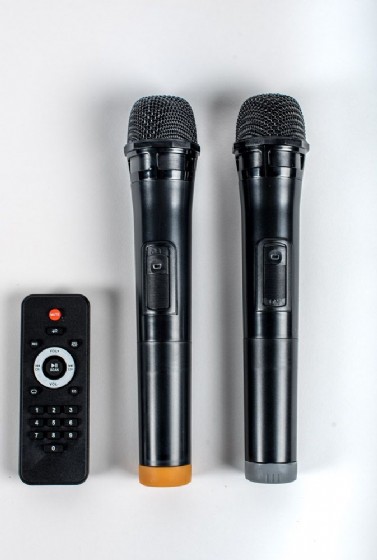 ������� ������ ����� 12 ����� RichTech RT12V2