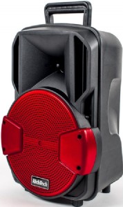 ������� ������� ����� 8 ����� RichTech RT25R