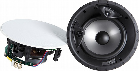 ��� ������� ������ ������ 8" Polk Audio RT80FX ���� �����