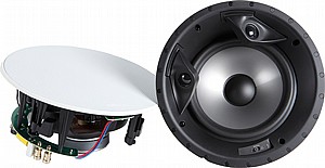 ��� ������� ������ ������ 8" Polk Audio RT80FX ���� �����