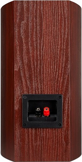 ��� ������� ������ Polk Audio TSX220 ���� �����